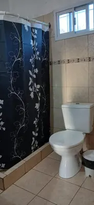 a bathroom with a toilet and a shower curtain at El Molle in Estancia Vieja