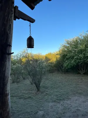 a bucket is hanging from a tree in a field at Casa Grande Reservas por privado in San Javier