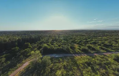 an aerial view of a road in a forest at Pentagrama, casas de campo in Villa General Belgrano
