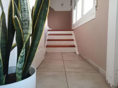 a stairwell with a potted plant and a window at Depto Viamonte PlantaAlta, 2Dorm, Terraza, Cochera in Cordoba