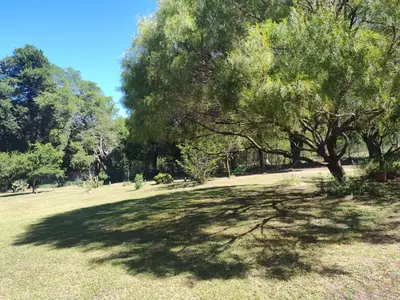 a tree casts a shadow on the grass in a park at El Espinillo, Casa de Campo in Santa Rosa de Calamuchita
