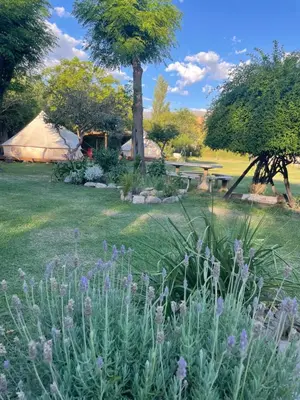 a garden with a tent and some purple flowers at GLAMPING RANCHO ALEGRE in Merlo