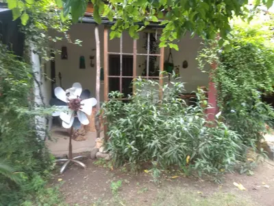 a garden in front of a house with a white flower at Casa alma verde alegría y paz in Luyaba
