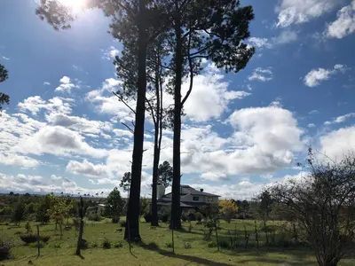 a group of trees in a field with a house at Sol Mayor in Villa Yacanto