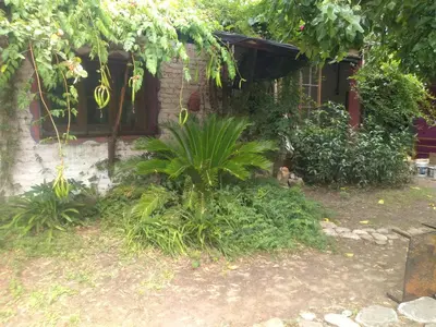 a garden in front of a house with a plant at Casa Alma Verde armonia in Luyaba