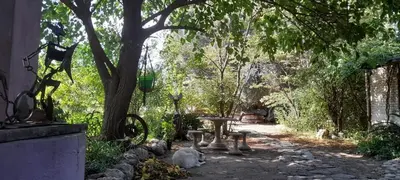 a garden with a table and a tree at Casa Alma Verde armonia in Luyaba