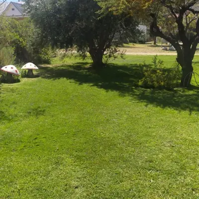 a green yard with trees and green grass at Aldea de Montaña ,La Pichuca in Carpintería