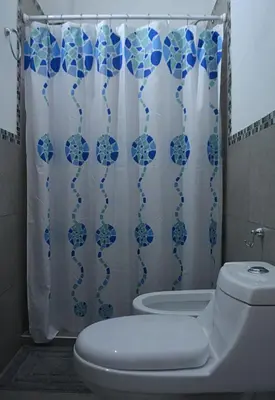 a bathroom with a toilet and a shower curtain at Cholito 2 in Alta Gracia