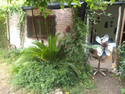 a house with a window and plants in front of it at Casa Alma Verde calma in Luyaba