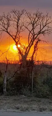 a tree with the sunset in the background at Casa Alma Verde calma in Luyaba