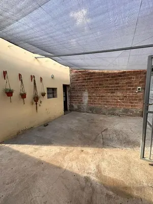 an empty room with potted plants on a brick wall at LA FACUNDA in San Francisco del Monte de Oro
