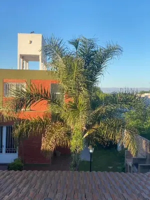 a palm tree in front of a building at Posada D`Lua in Villa Carlos Paz