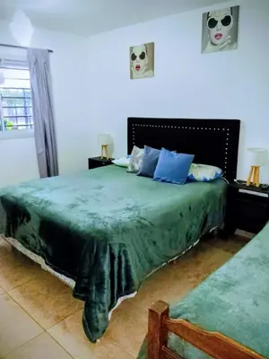 a bedroom with a green bed with blue pillows at ENCANTO SERRANO in Villa Carlos Paz
