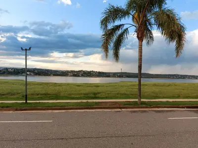 a palm tree on the side of a road at Castillo Del Lago - Carlos Paz - dep17 in Villa Carlos Paz