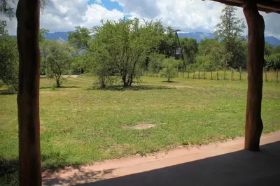 a view of a field of grass and trees at Peumayen Cabañas in Villa de Las Rosas