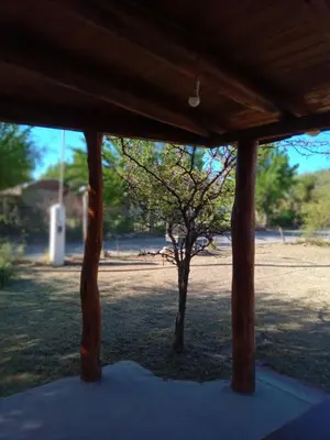 a tree in the middle of a field at Peumayen Cabañas in Villa de Las Rosas