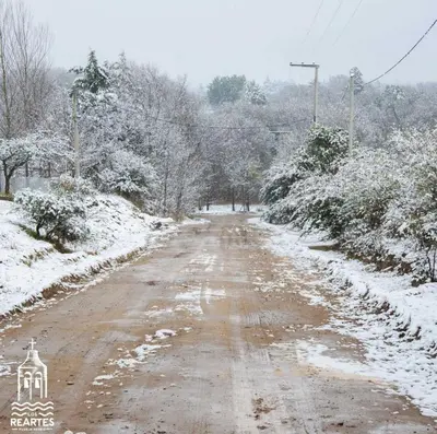a dirt road covered in snow with trees at Hospedaje ideal a metros del rio in Los Reartes
