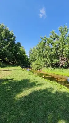 a grassy field next to a river with trees at Hospedaje Sauce Linda - Casa Cina Cina in Villa Dolores