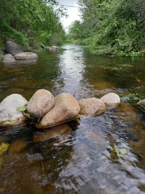 a stream with rocks in the middle of a river at Hospedaje Sauce Linda - Casa Cina Cina in Villa Dolores