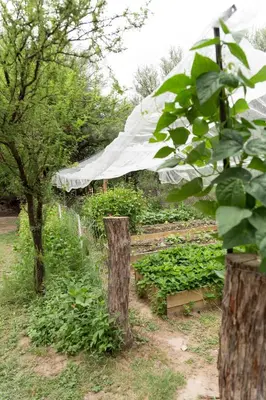 a garden with trees and a greenhouse with plants at Hospedaje Sauce Linda - Casa Cina Cina in Villa Dolores