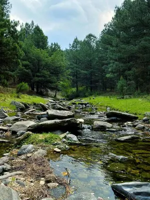 a river with rocks and trees in a field at Cabana Villa Alpina in Villa Alpina