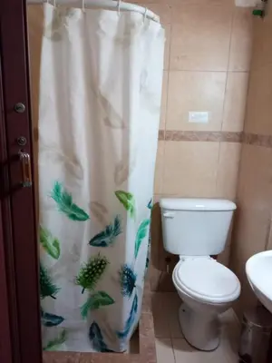 a bathroom with a toilet and a shower curtain at El Nogal monoambiente kichenete in Alta Gracia