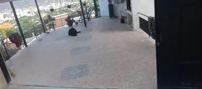 a black cat sitting on the floor of a building at El Chañar in Villa Carlos Paz