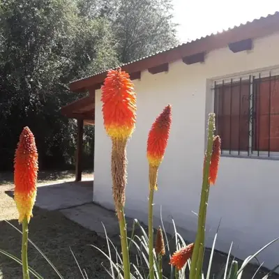 Los Manzanos