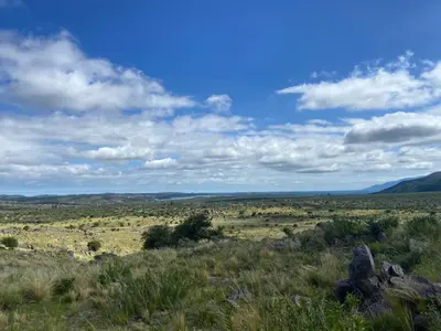 a field of grass with a blue sky and clouds at Descanso, aventura y ecoturismo en las sierras in San Francisco del Monte de Oro