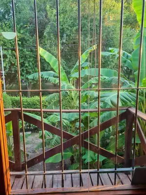 a window with a view of a banana plantation at Cabaña Alma 2 in Villa Carlos Paz