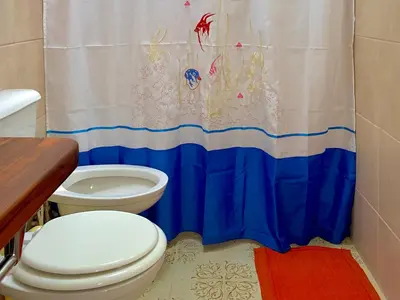 a bathroom with a toilet and a shower curtain at B&B Mina Clavero in Mina Clavero