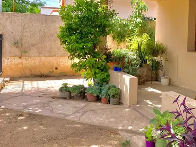 a group of potted plants sitting next to a tree at B&B Mina Clavero in Mina Clavero
