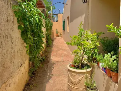 a narrow alley with potted plants on the side of a building at B&B Mina Clavero in Mina Clavero