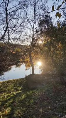 a body of water with the sun shining through trees at ECO-LOFT, Sombra de Chañar,- Mallín Córdoba in Tanti