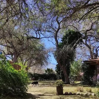 Casa Armonía