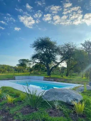 a swimming pool with a tree in the background at La Pasionaria casa de sierras in Santa Rosa de Calamuchita