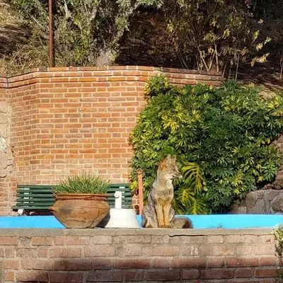 El Solar de los Pájaros