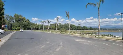 an empty street with palm trees and a lake at Departamento Costa Paz in Villa Carlos Paz
