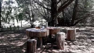 a wooden table sitting in the shade of a tree at Cabañas Mirador de la Bahia in Villa Ciudad Parque