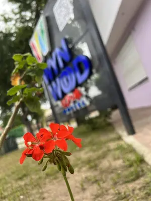 a red flower in front of a blow up sign at Wynwood Extreme Hostel in Villa Carlos Paz