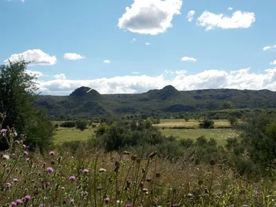 a field of flowers with mountains in the background at La cabañita de Maco in Nono