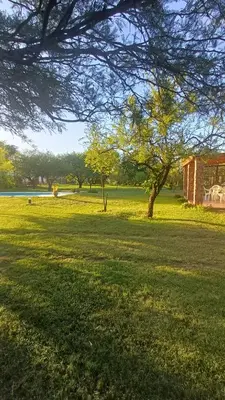 a green field with a tree and a building at Las Guardia in Cortaderas