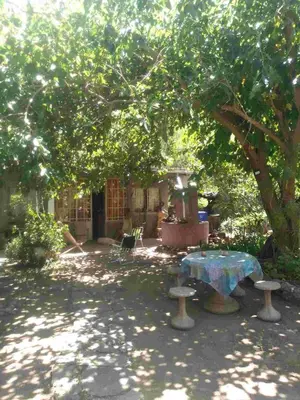 a patio with a table and chairs under a tree at Casa alma verde in Luyaba