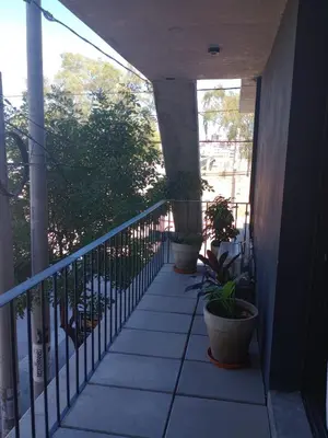 two potted plants are sitting on a balcony at Depto con Vista PANORAMICA FRENTE CENTRO CIVICO - UBICACION INMEJORABLE in Cordoba