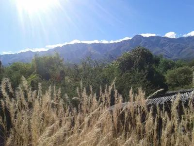 a field of tall grass with mountains in the background at Hexágono de San Javier in San Javier