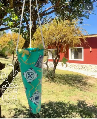 a green sock hanging from a tree in a yard at Color Local Cabañas in San Javier