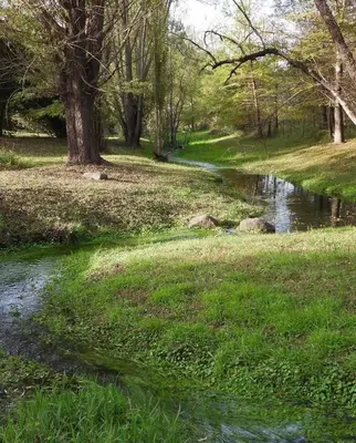 a stream in a park with grass and trees at Posada Sausalito in Santa Rosa de Calamuchita