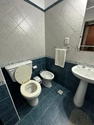 a bathroom with a toilet and a sink at Encantos del Valle - Santa Rosa de Calamuchita in Santa Rosa de Calamuchita