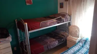 two bunk beds in a room with a green wall at Sol Naciente in Potrero de Garay