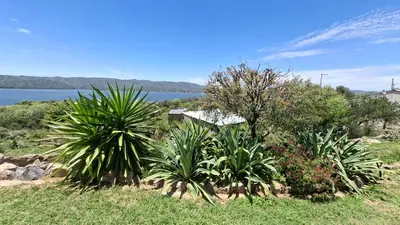 a group of plants on a hill next to a body of water at El Mirador de los Manantiales in Villa Parque Siquiman
